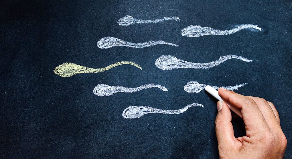Spermie mizí stále rychleji