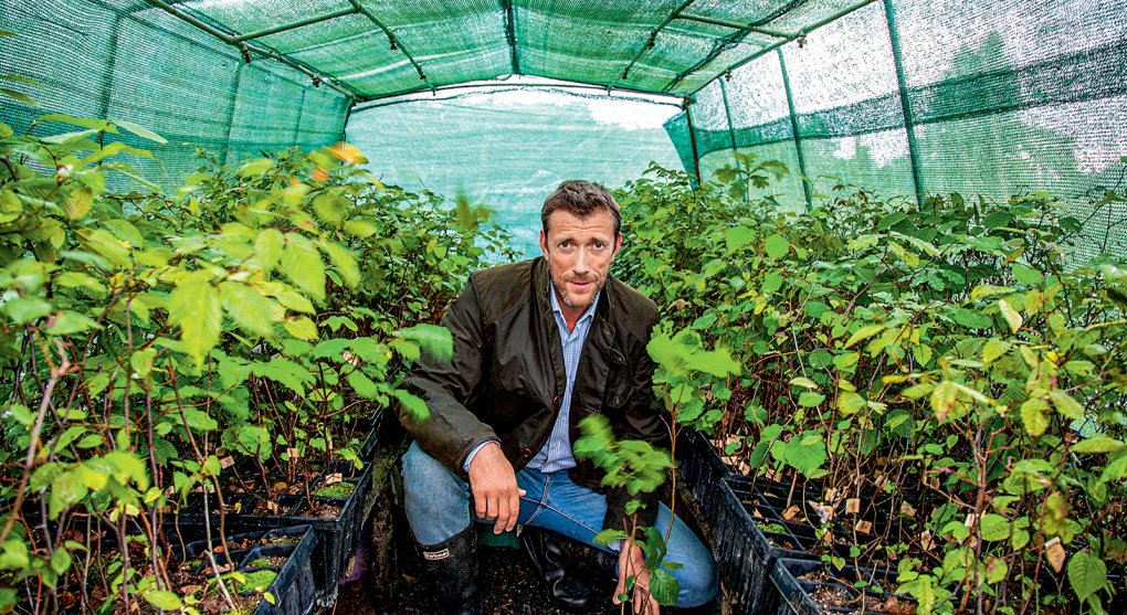 Vyplatí se pěstování lanýžů? Zájem o rizikovou investici roste