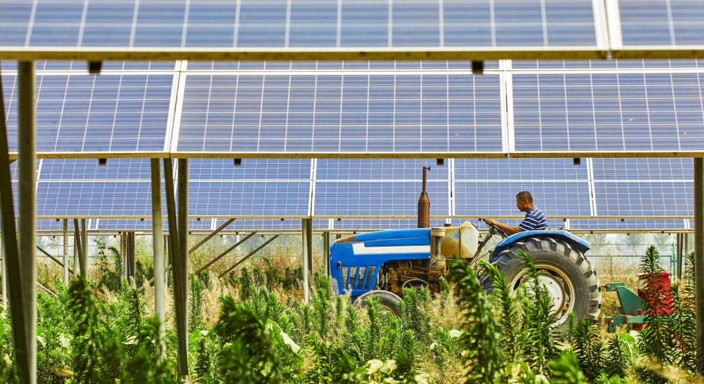 Solární zelináři. Piráti chtějí propojit zemědělství a fotovoltaiku