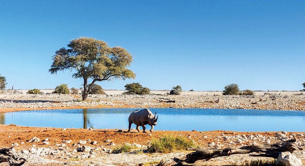 Dva tisíce nosorožců jednou kupní smlouvou