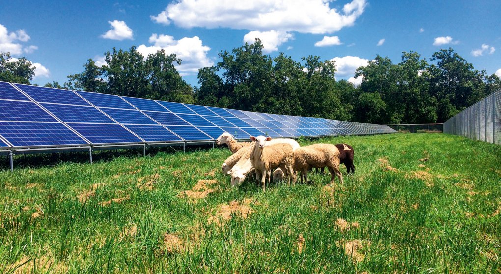 Solární panely nebo tepelná čerpadla chrání před růstem cen energie