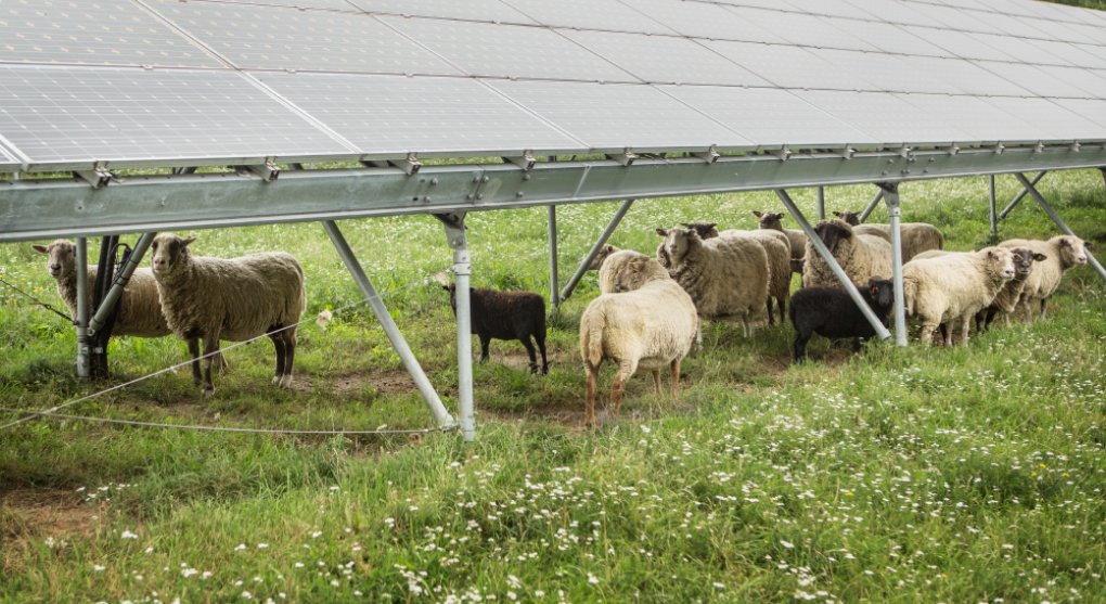 Zelená energetika může v Česku vytvořit přes 100 tisíc pracovních míst