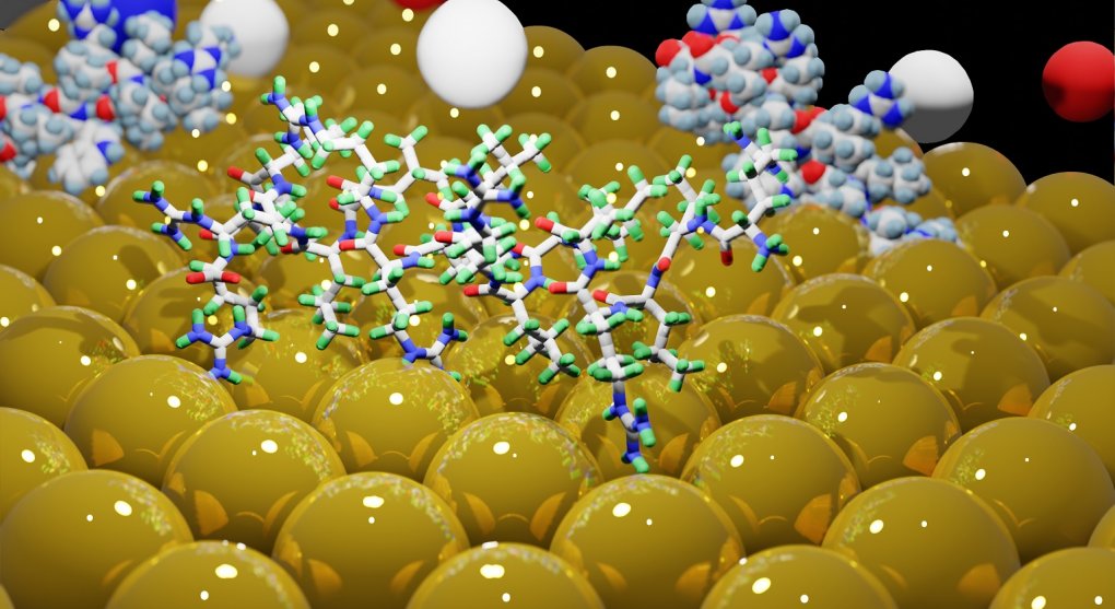 Zlatá nanolupa
