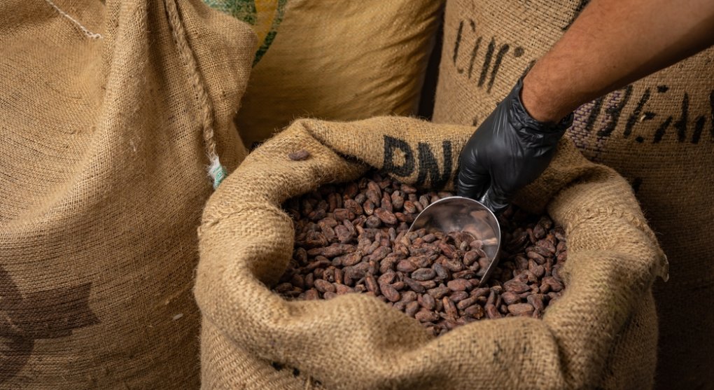Komentář: Proč kakao prudce zdražuje a zdražovat bude dál