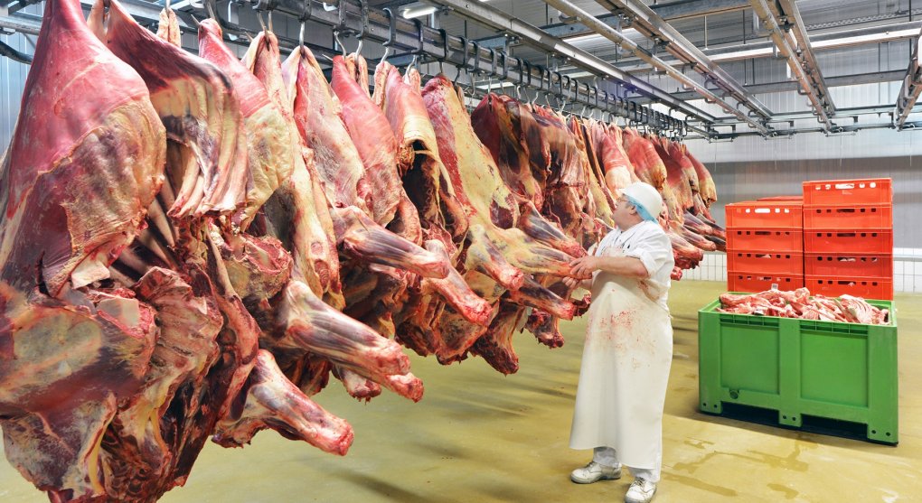 Umělé maso jede. Chtějí ho vyrábět i tradiční masokombináty