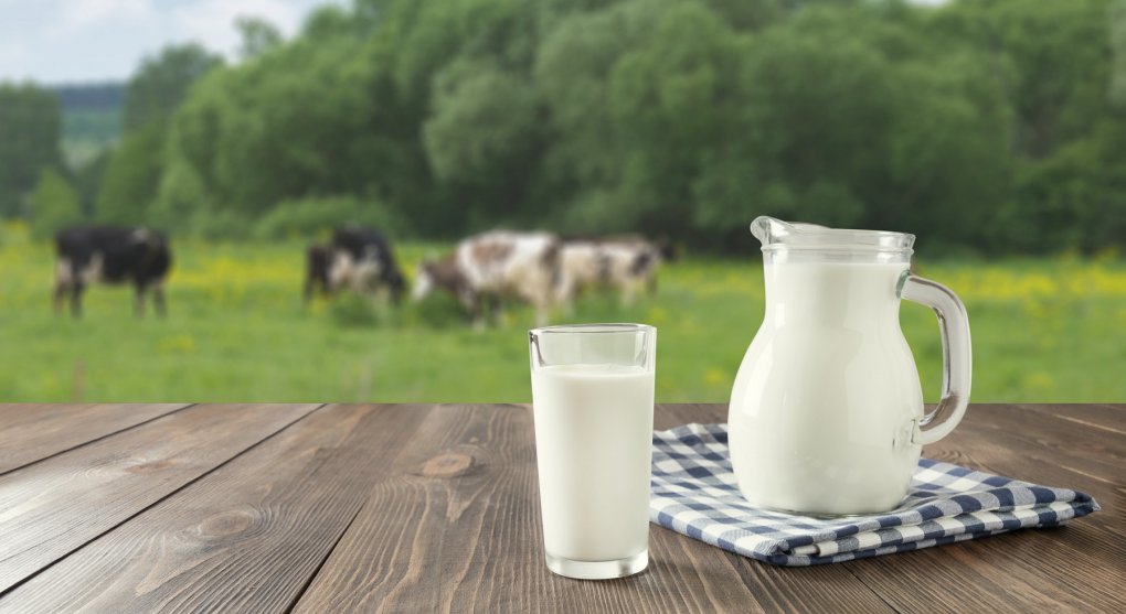 Nová „hračka“ Billa Gatese: klimaticky neutrální mléko