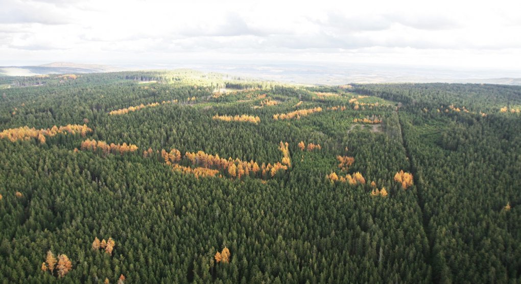Lesy ČR roky kritizovaly Národní park Křivoklátsko. Teď se s ním musí smířit
