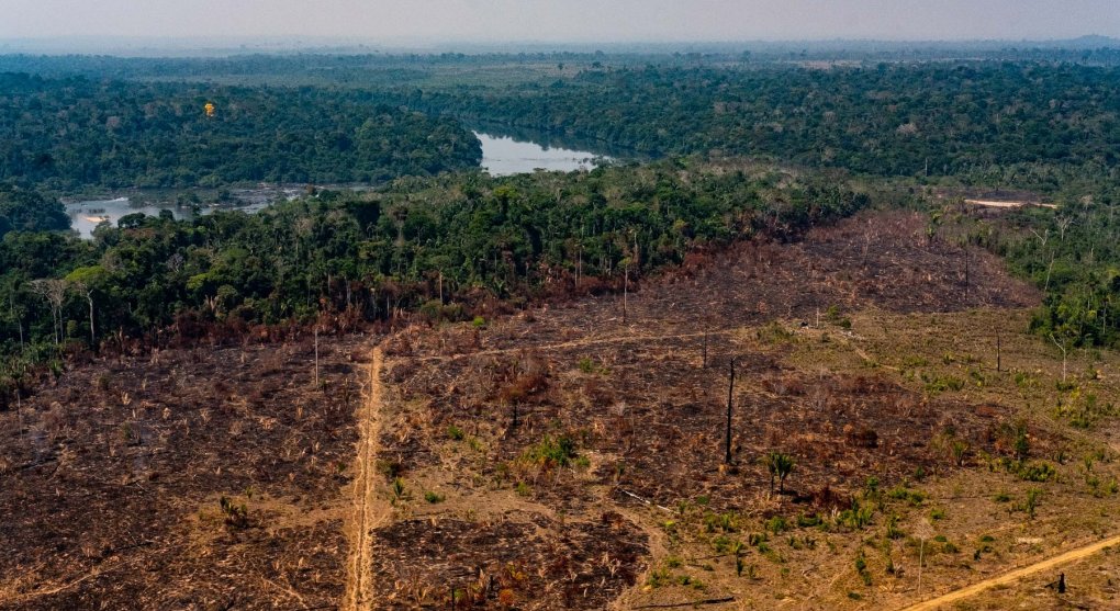 Amazonie se mění na savanu, varují vědci. Na záchranu zbývá pět let