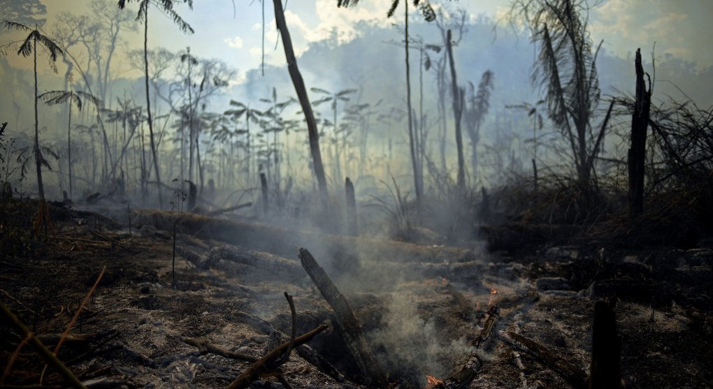 Brazílie má plán na záchranu pralesů. Za stovky miliard dolarů