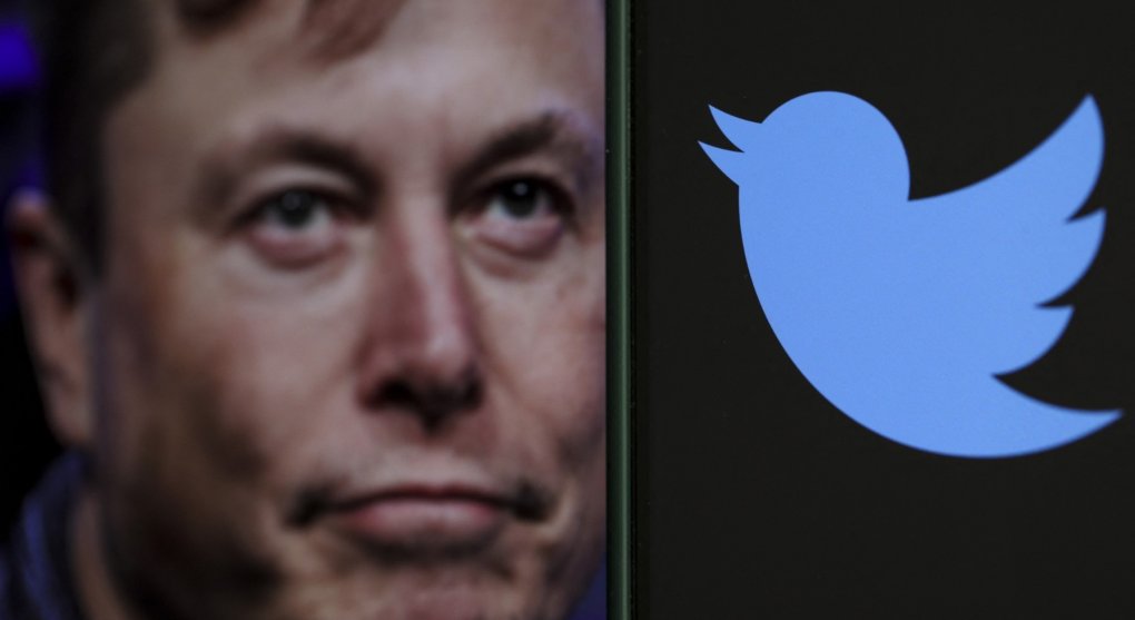 Muskův Twitter, Twitterův Musk aneb Pták je volný, ale blbý