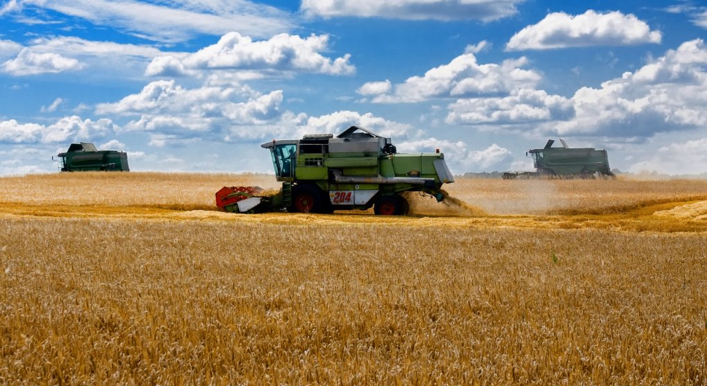 Ukrajina souhlasí s omezením exportu svého obilí do EU, od Bruselu ale požaduje stopku i pro to ruské