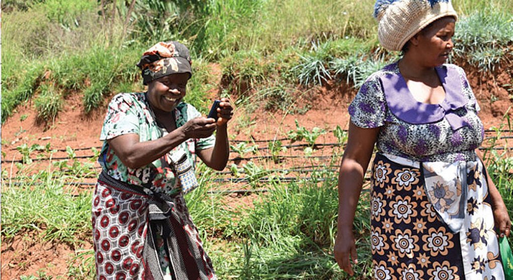 Technologie proti hladu. Mobilní aplikace keňského startupu pomáhá africkým zemědělcům