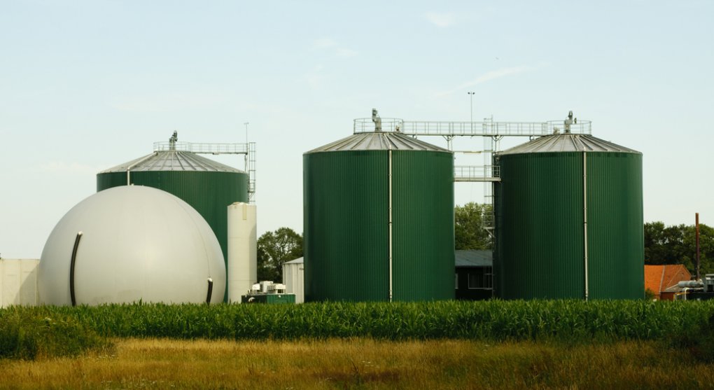 Kravský trus jako palivo. Je bioplyn skutečně ekologický?