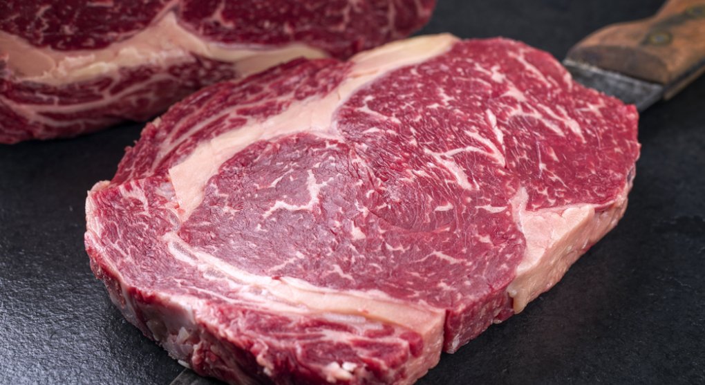 Steak ze zkumavky? Český startup vyvíjí maso, kvůli němuž se nemusejí zabíjet zvířata