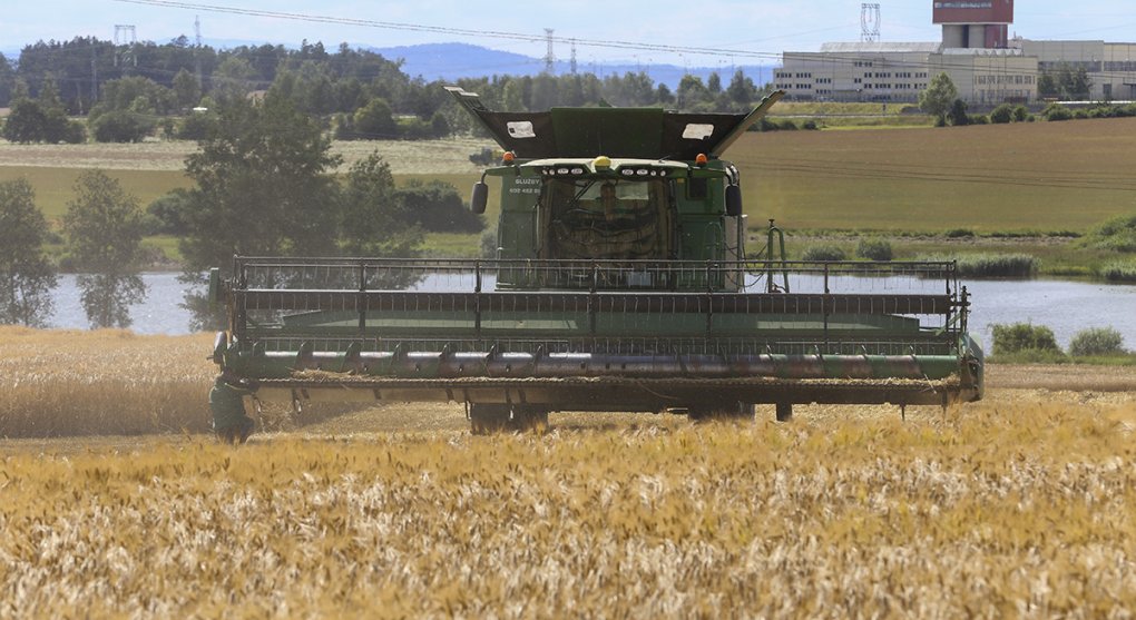 Signály o ústupu inflace sílí. Farmáři zlevňují, průmysl zlevňuje – a ČNB stále čeká